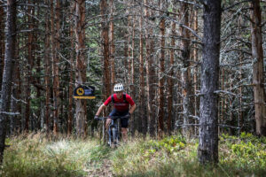 Wild Bear MTB Stage Race