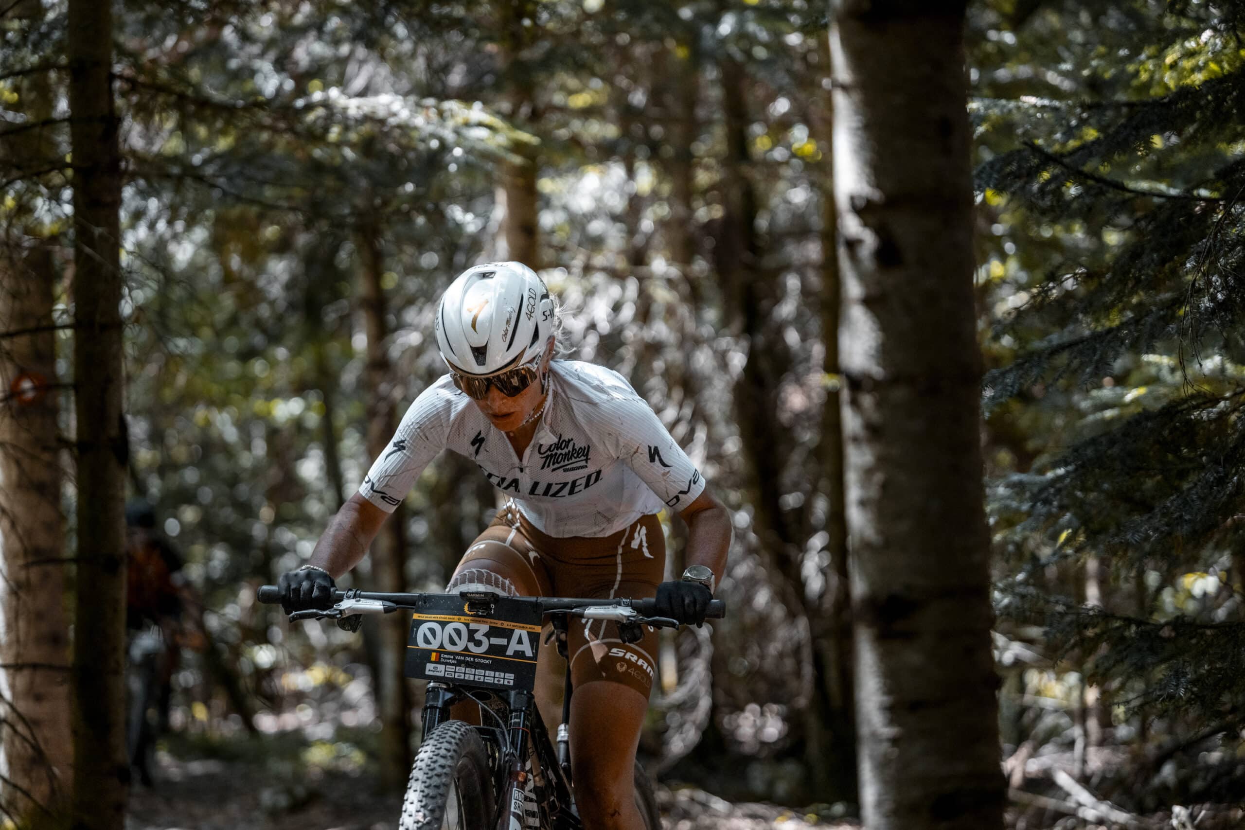 Wild Bear MTB Stage Race Wild Bear MTB Stage Race